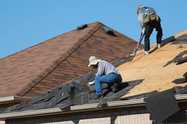 Best Storm Damage Roof Repair  in Salisbury, MO